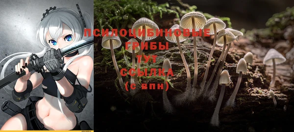 jwh Баксан
