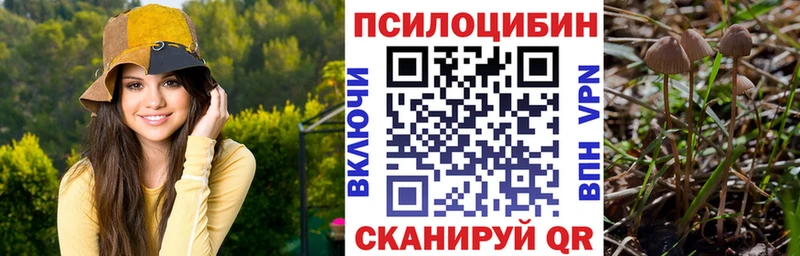 Галлюциногенные грибы Psilocybine cubensis  Старый Крым 